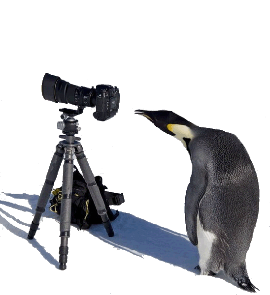 短視頻正進入小時代