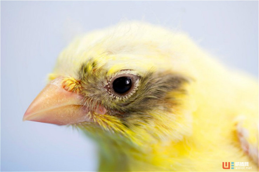 利用數據幫助客戶精準預測二手房價值,HouseCanary獲3100萬美元B輪融資 ...